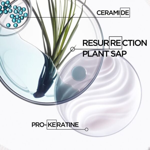Kerastase BAIN FORCE ARCHITECTE SHAMPOO - Image 3