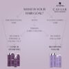 Alterna Caviar Anti-Aging MULTIPLYING VOLUME Conditioner